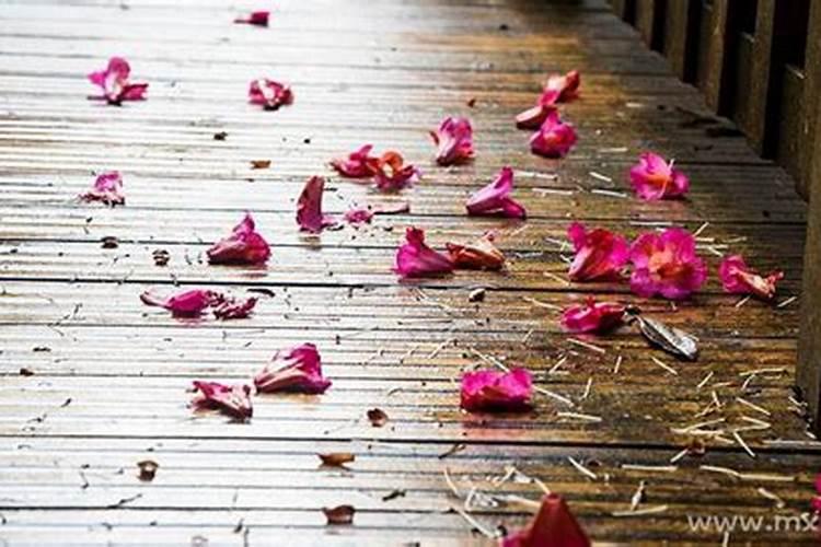 梦见亲人被杀见血是什么意思？