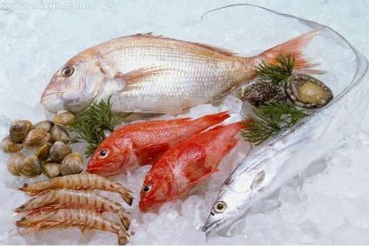 梦见冻鱼是什么意思？