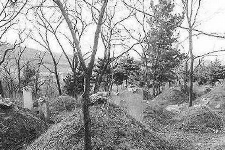 腊月坟上长青草