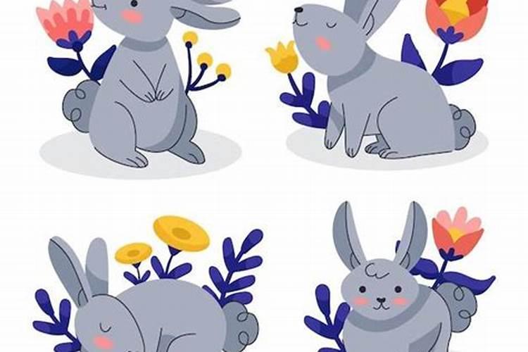 属羊的和属兔的合婚吗？