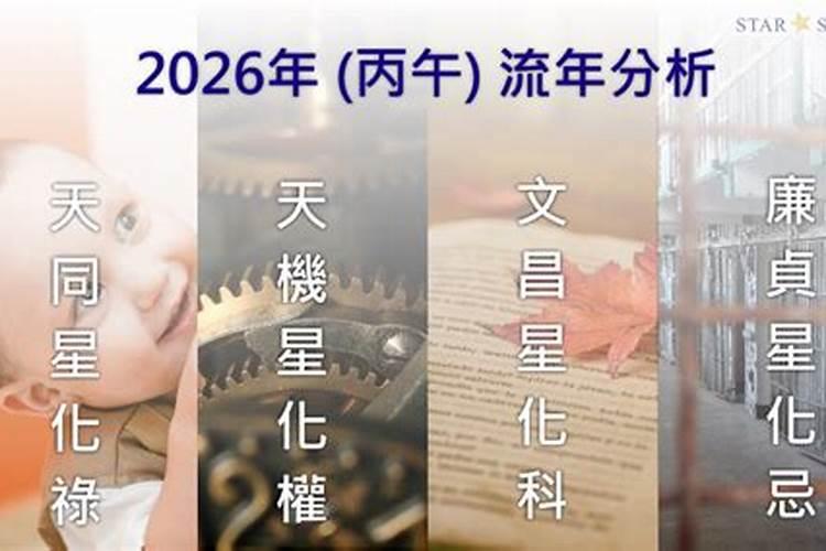 紫微在午2026年运势