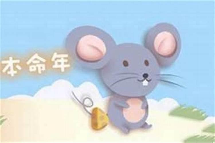 本命年可以结婚吗属鼠男？