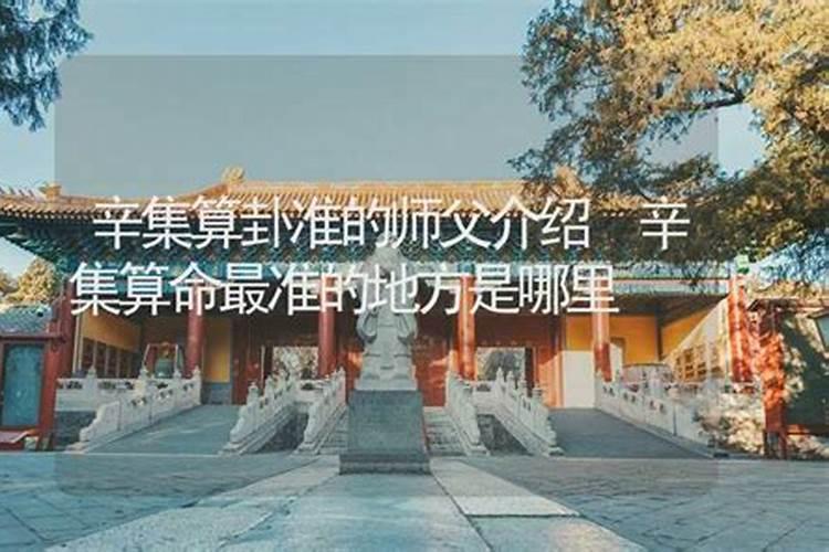 辛集哪里有算命的高人？