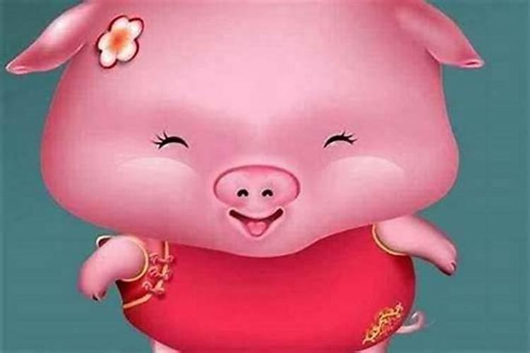 属猪冬至过后运气