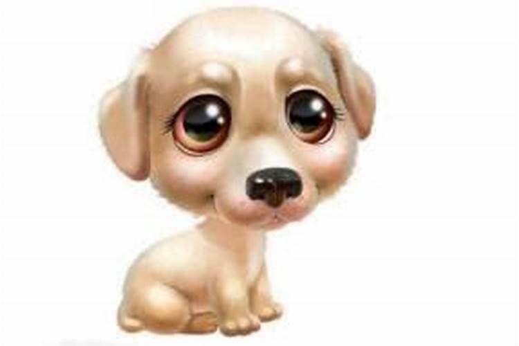 2026年属狗的运势怎么样？