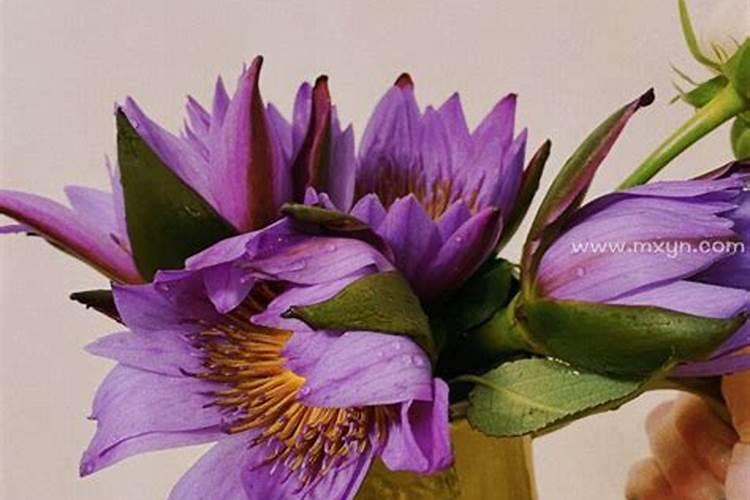 梦见死了的爸爸又活过来了啥意思？