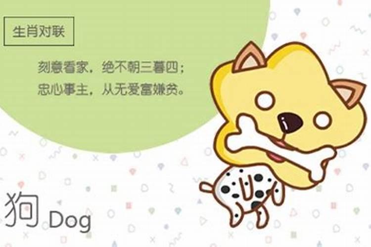 龙女和狗男合婚吗？