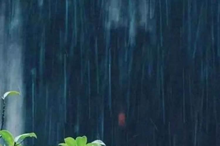 农历十月初一下雨好吗？