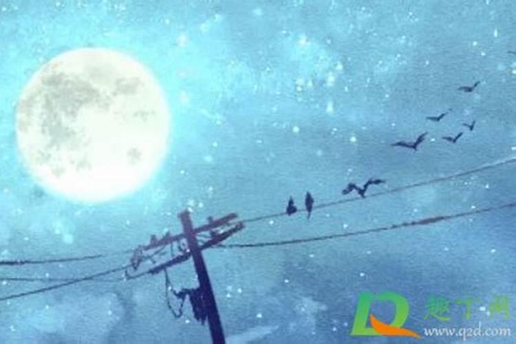 本命年见星星会怎么样？