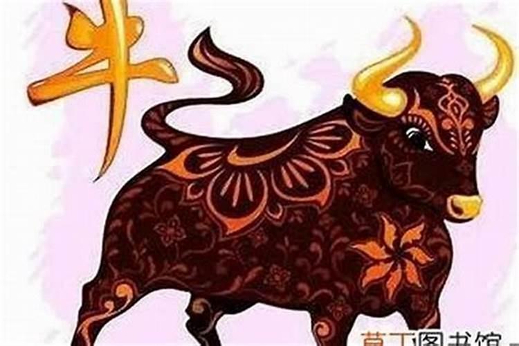 属牛的人本命年佩戴什么最好？