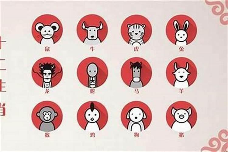 属羊和什么最合婚？