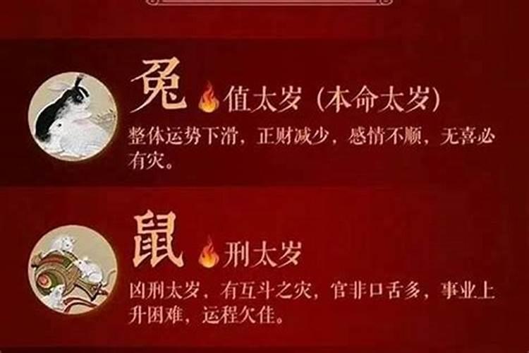 犯太岁属羊就是什么型？