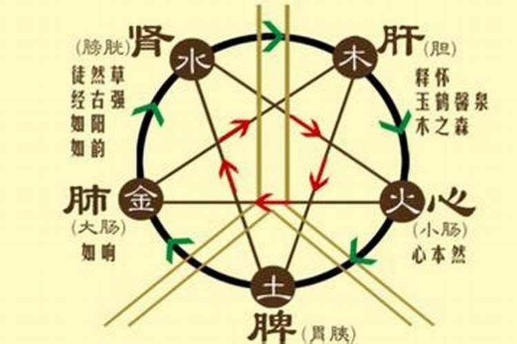 怎样判定自己的五行属性？