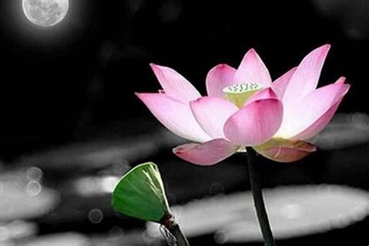 清明念经超度亡灵