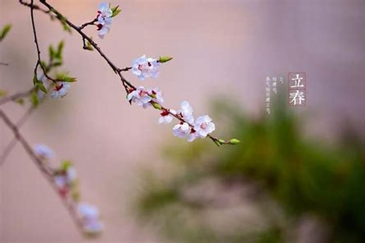 立春前有哪些习俗？