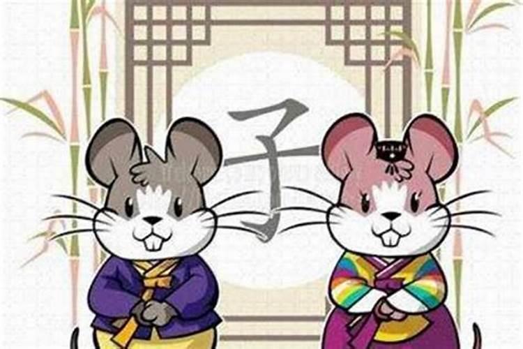 属相鼠和猪婚配好吗？