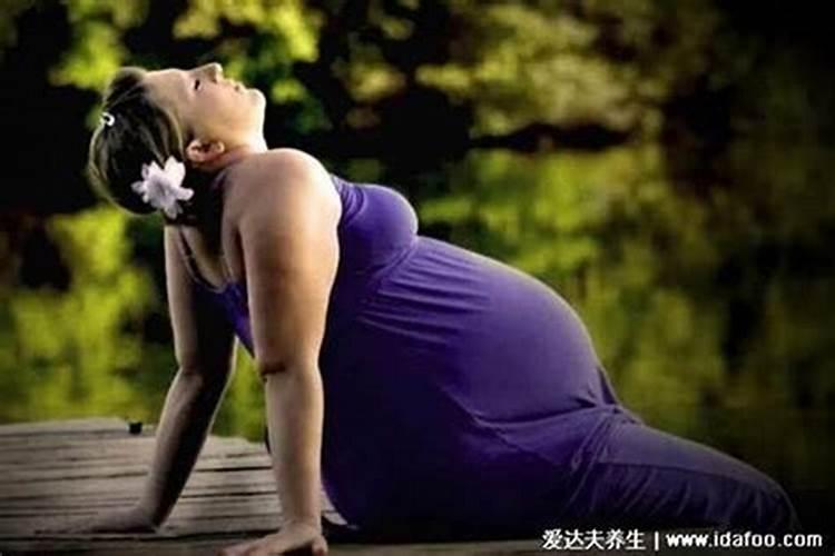 怀孕梦见猫老是缠着我