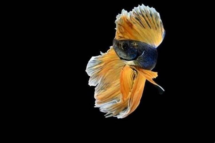 对付小人的五个方法