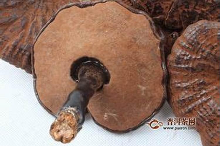 太岁的功效与作用及禁忌