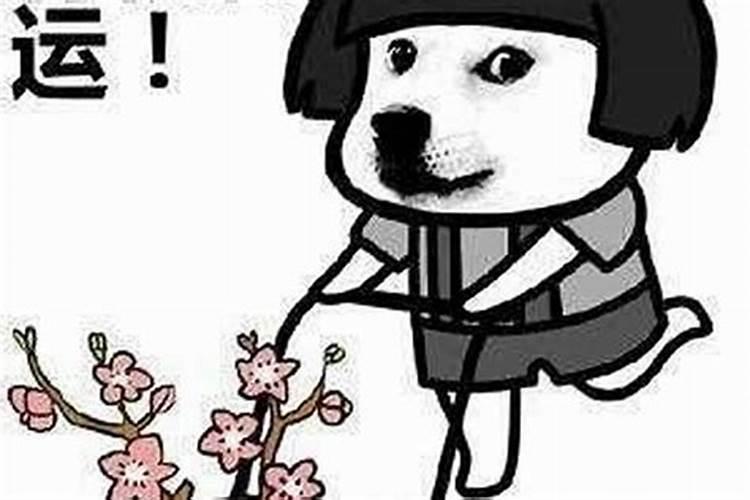 有没有人一生运势都好？