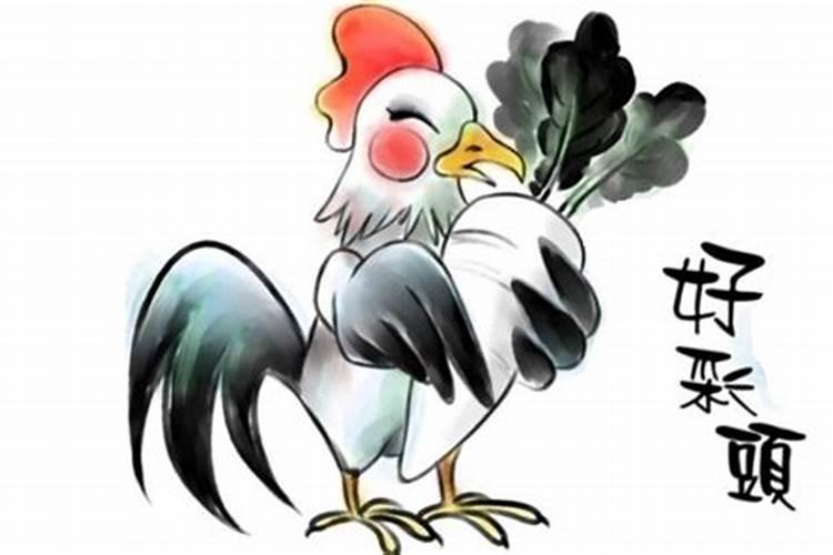 1969属鸡男2026年运势如何？