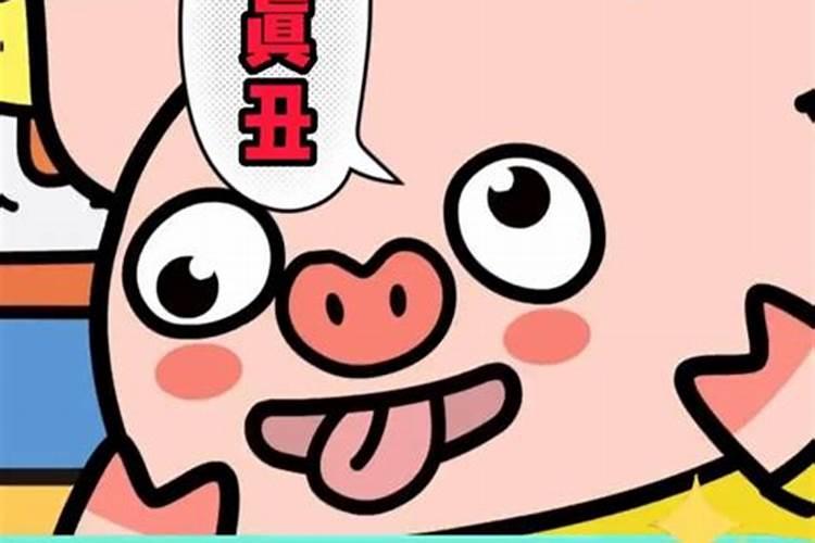 骂别人小人怎么骂他？