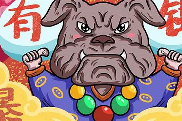 八月出生的属狗人运程