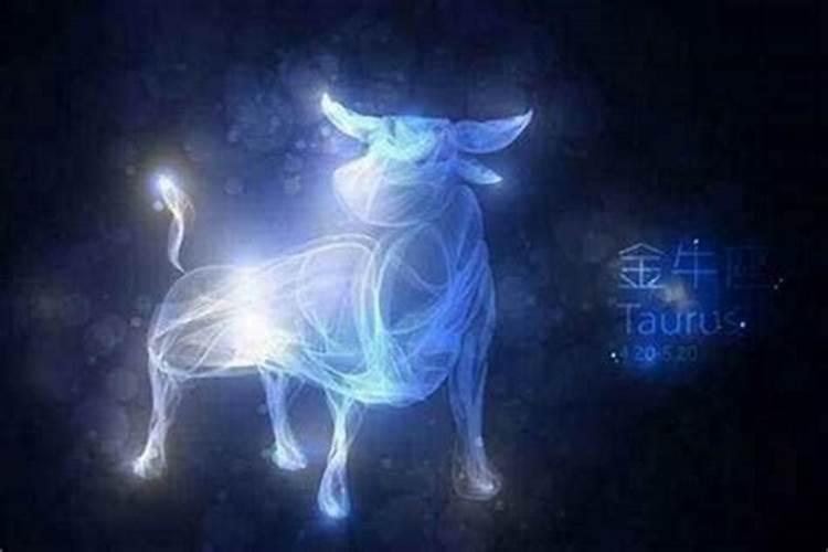 金牛座今日运势男