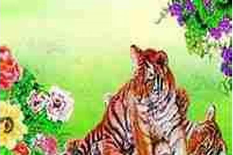 62年7月虎2026年运势