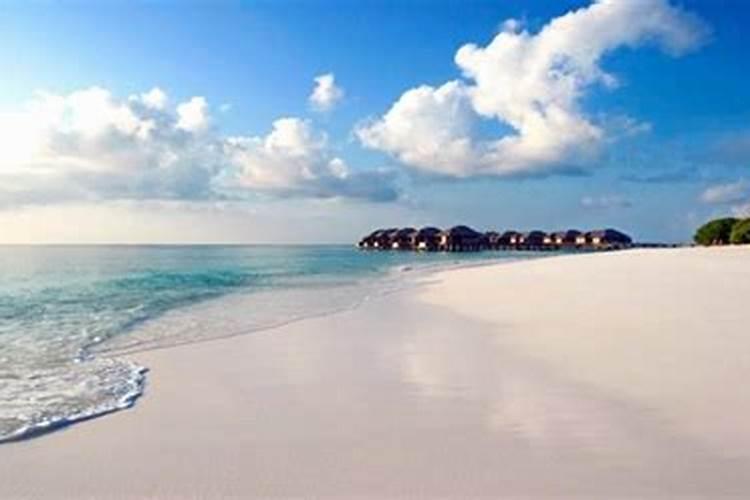 梦见亲人死了然后又活过来了