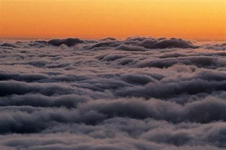 1964年12月21农历今年运势