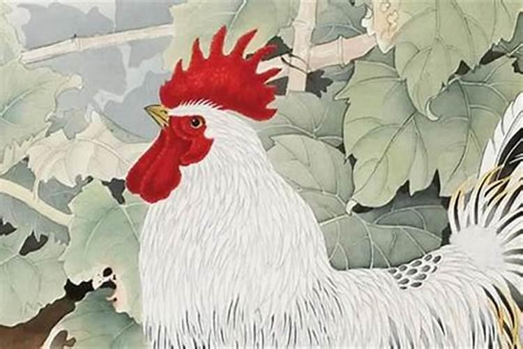 属鸡的人在什么年犯太岁？