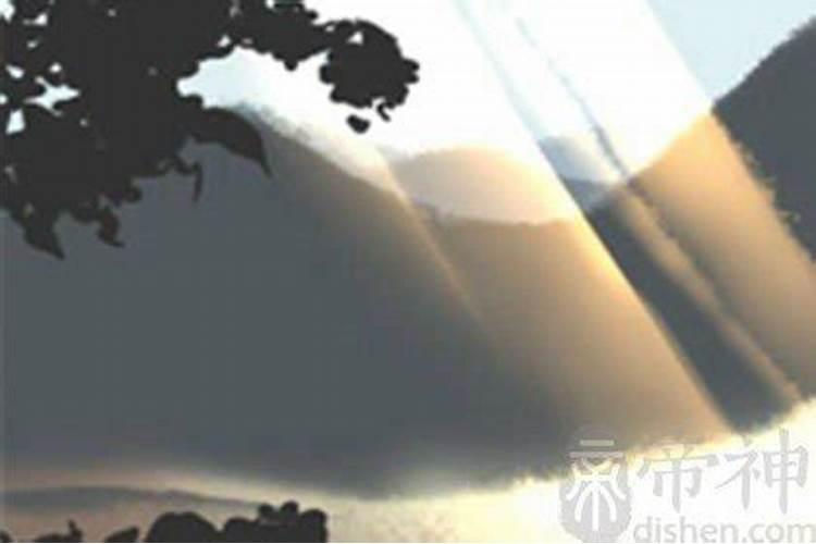 梦见姐姐要被杀了分尸