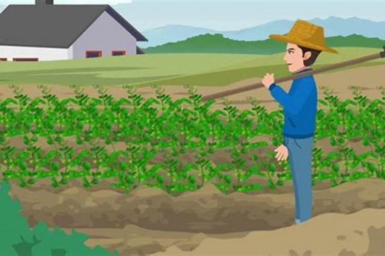 冬至如何祭拜土地？