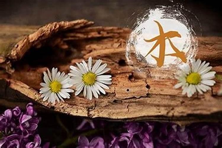 命格什么意思？