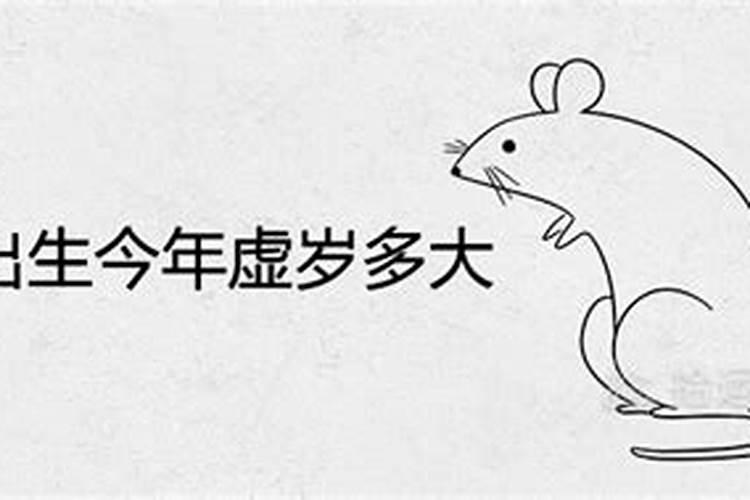 1972鼠生人今年运势