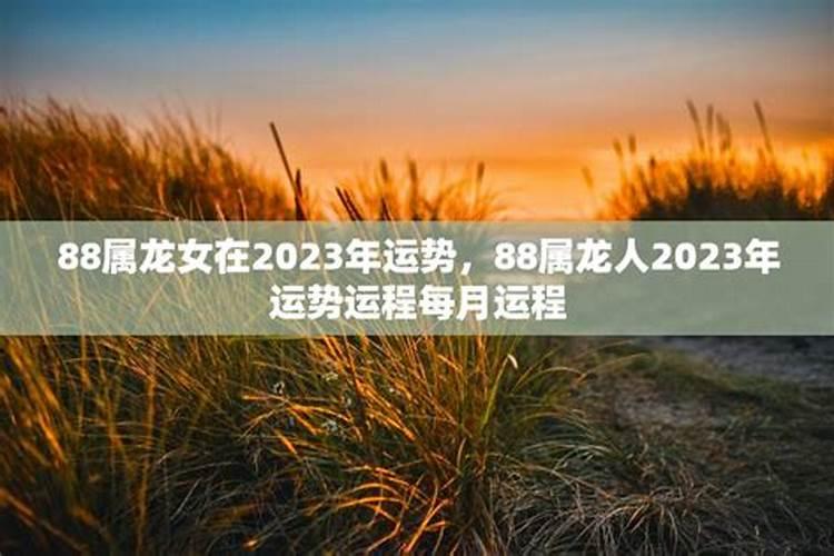 龙女在2026年运程1月