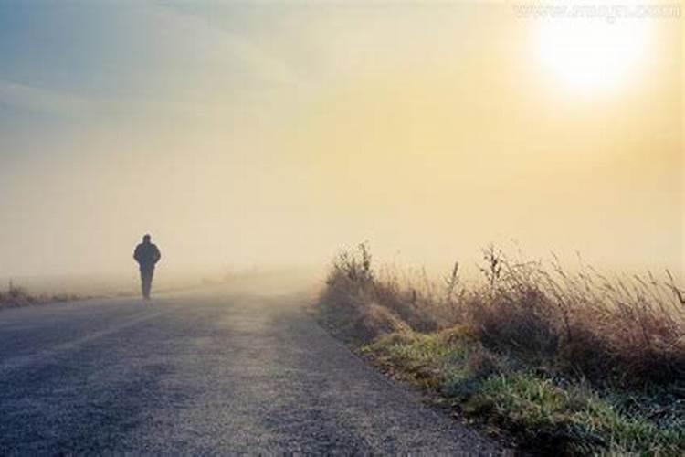 梦见回家路上有人帮忙