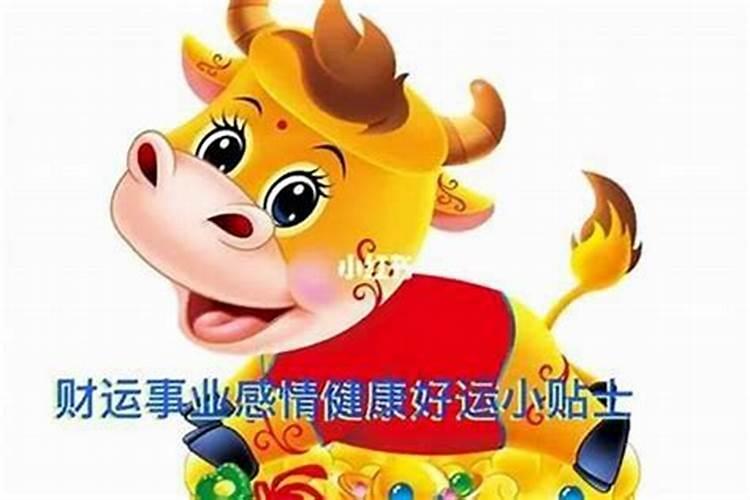 85年属牛女人十年运势如何？