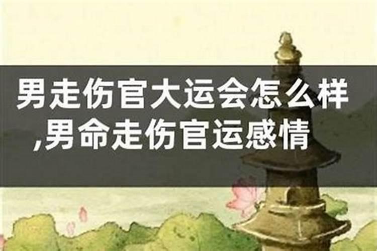 男人伤官运是什么意思？