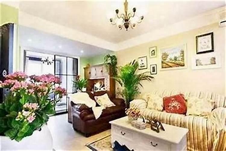 家里怎么旺财大有玄机？