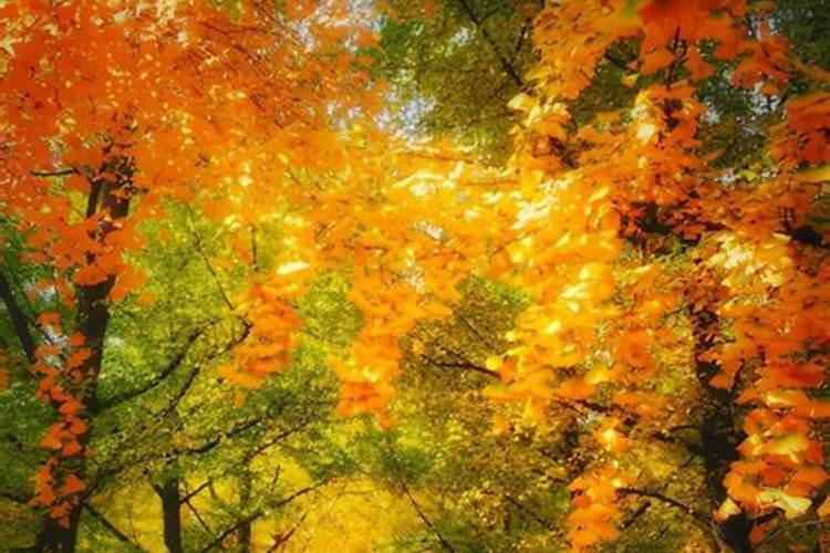 冬至是农历还是阳历节日？