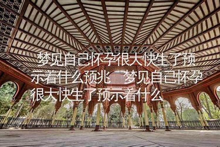 梦见女同事怀孕了预示着什么预兆？