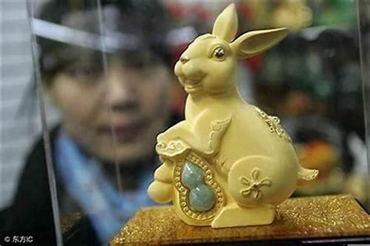 属兔的今年是本命年吗？
