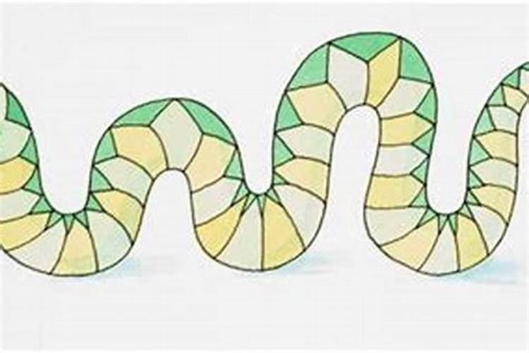 晚上遇到蛇有什么预兆？