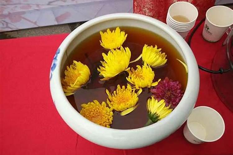 你重阳节做过哪些事？