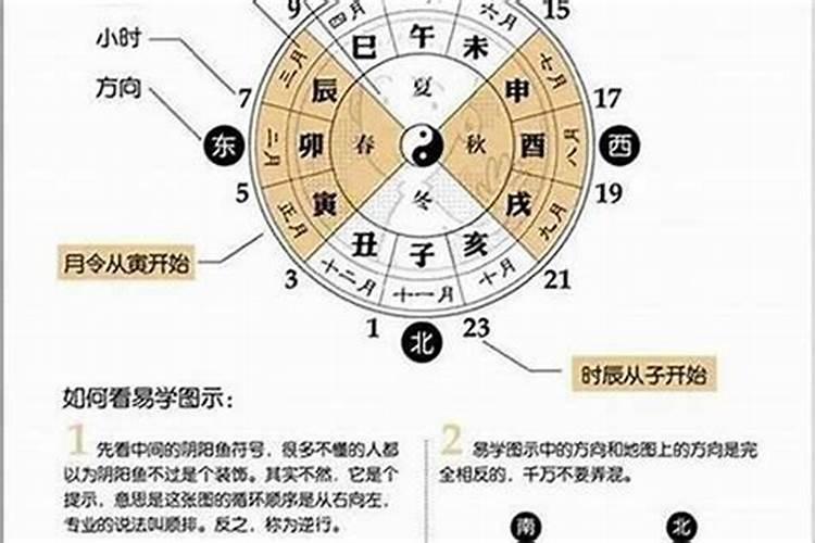 生辰八字什么是辛金？