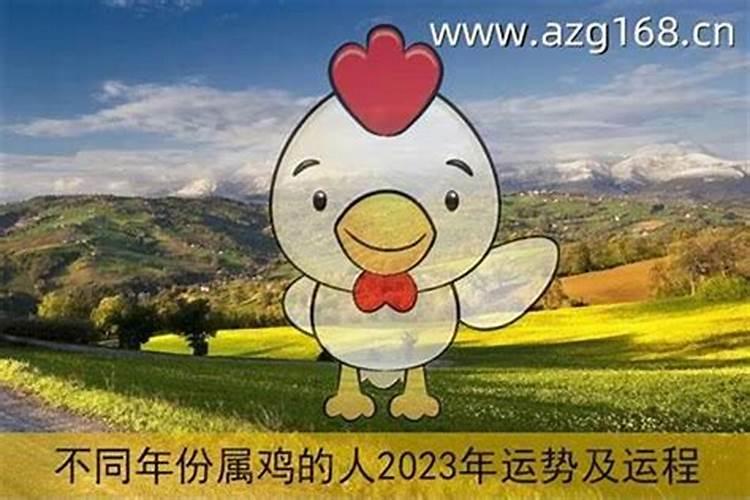 1981年属鸡的2026年运势及运程
