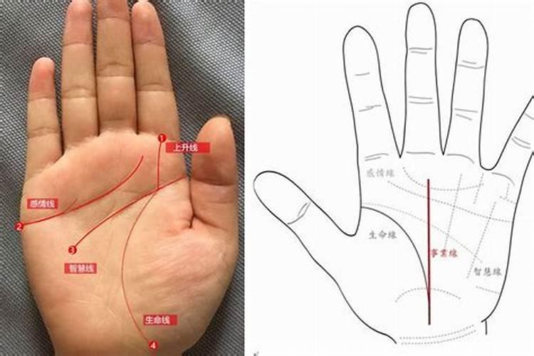 生命线是哪条？