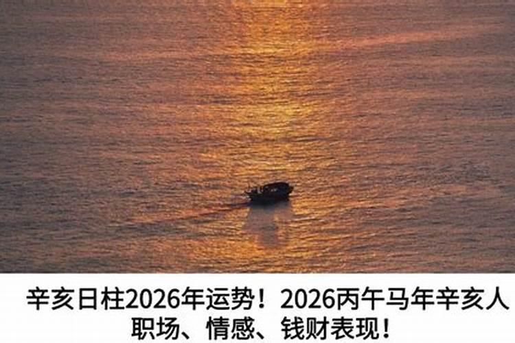 辛亥日2026年运程